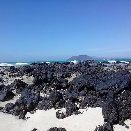 In Oasis Tropicale Corralejo