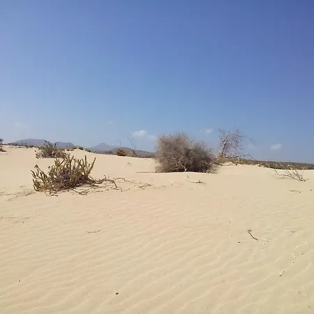 In Oasis Tropicale Holiday home
