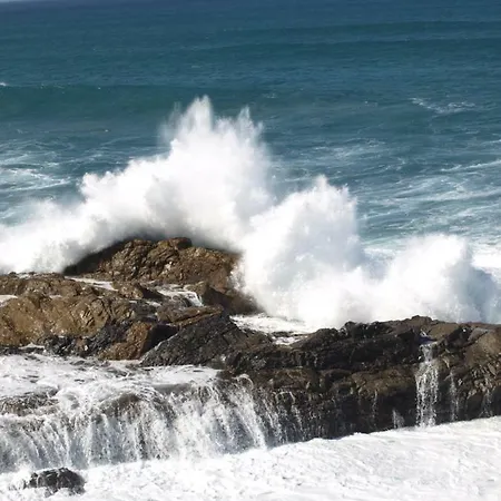 Nyaraló In Oasis Tropicale *