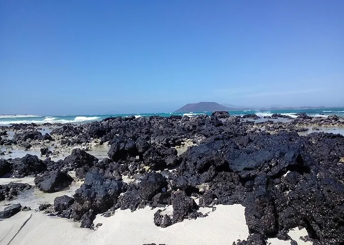 In Oasis Tropicale Corralejo
