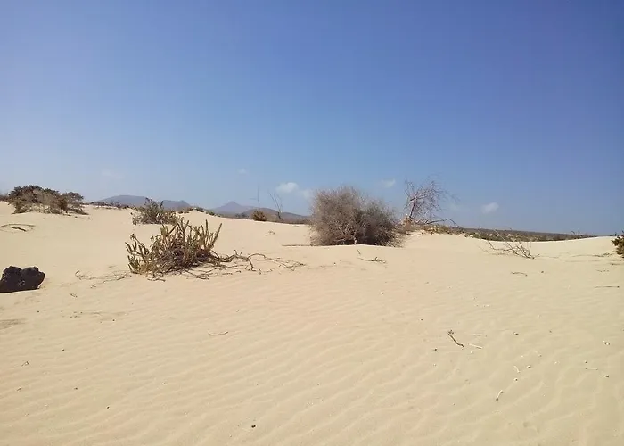 In Oasis Tropicale Tatil Evi